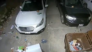 Камера наблюдения помогла раскрыть курьёзный инцидент у дома