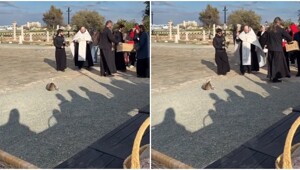 Батюшка освятил кота