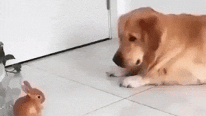 Просто гифки, всякие и&nbsp;разные