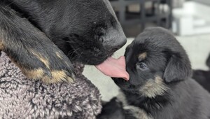 25 фото, на которых реальность шутит и даже немного издевается над нами