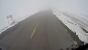 %22Вышел ёжик из тумана%22