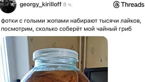 «Только не открывай!»: домашний чайный гриб превратился в Ктулху