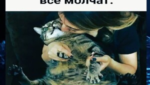 Весёлые картинки