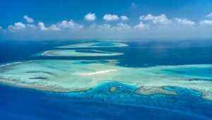 6 жертв на глубине 55 метров: самая страшная катастрофа в истории дайвинга на Мальдивах
