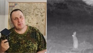 Лиса осталась ни с чем: хитрость зайца попала на камеру