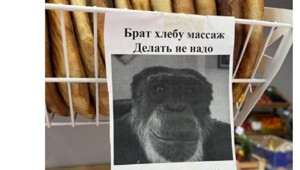 Скрины из соцсетей%20%20%20%20%20%20%20%20%20%20%20%20
