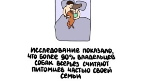 А вдруг ты не знал…