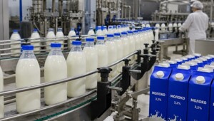 Россия ограничит ввоз молочной продукции из Армении
