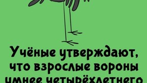 А вдруг ты не знал…