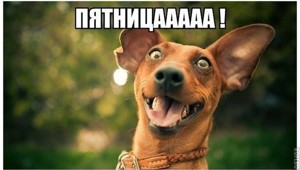 Фишкина солянка за 01.08.2014