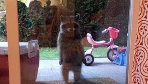 Фишкина солянка за 13.08.2014 