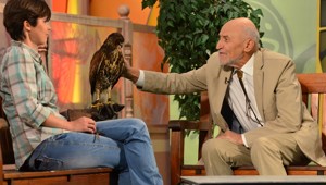 Из-за них я НЕ переключаю каналы