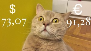 Черный понедельник