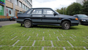 Почему я не осуждаю парковку на тротуаре и газоне