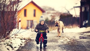 Как отбиться от напавшей собаки?  