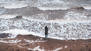 Вы одиноки, потому что дуры