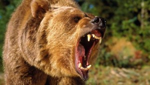 7 самых известных мифов на тему выживания, которые легко вас погубят