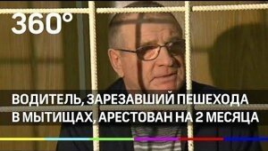 Водитель, зарезавший пешехода в мытищах, арестован на 2 месяца