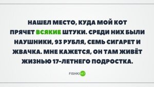 Скрины из социальных сетей