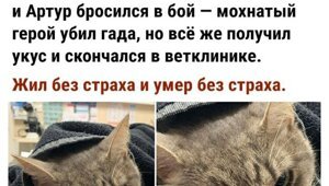 Солянка от 01.03.2021