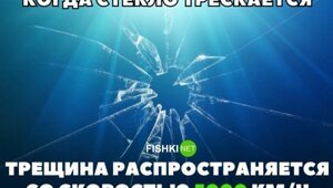 Самые интересные факты в мире