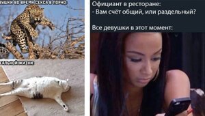 Женщины глазами мужчин: мемы и убойные ситуации из жизни