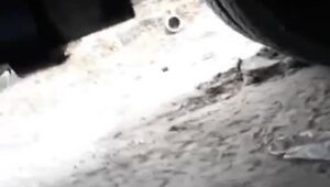 Видно крепко спал