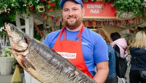 Кулинарное путешествие от Камчатки до Казани