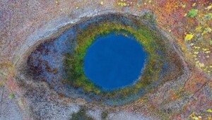 От этого глаза просто невозможно оторвать глаз