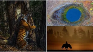 Фотографические оскары россиян