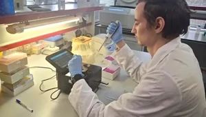 Уникальное лекарство от наших новосибирских ученых