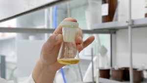 Две болезни, одно лекарство