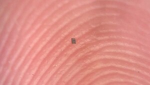 Учёные в 10 000 раз уменьшили самого маленького робота с «мозгами» (3 фото + видео)