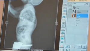 Маленькое сердце в сжатой груди