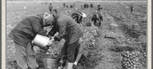 Фотографии прошлого, на которых история кажется ещё интересней