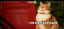 Смешные и познавательные картинки