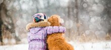Пёс спас маленькую девочку во время снежной бури на Сахалине
