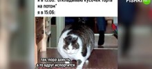 Комментарии и картинки из соцсетей. Свежак за 4 июня