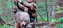 Бесстрашный мужчина встретился с волчицей и спас её потомство от смерти
