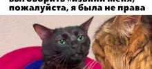 Не ищите здесь смысл. Здесь в основном маразм