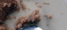 В Саранске детям-инвалидами раздали крупу с червями
