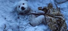 Прохожие спасли собаку, вмерзшую в сугроб
