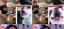 Музыканты со всего мира записали совместный трек с говорливым псом