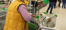 Собака, катающаяся по магазину в продуктовой тележке, это нормально?