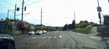 Водитель BMW раздавил утят, пререходящих дорогу по пешеходному переходу