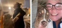 В Ирландии собака растерзала девушку в её день рождения
