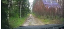 Автомобилист пытается выехать из леса во время урагана