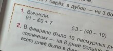 «Люто туплю»: девушка попросила помощь со&nbsp;школьной задачей по&nbsp;математике