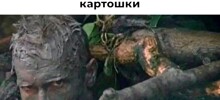 Смешные картинки