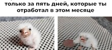 Не ищите здесь смысл. Здесь в основном маразм